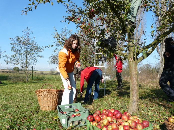 CAL 2008 rijen namorni akademie 25. 29.10. 04